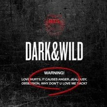 BTS - Dark & Wild (1st Album) - Catchopcd Hanteo Family Shop