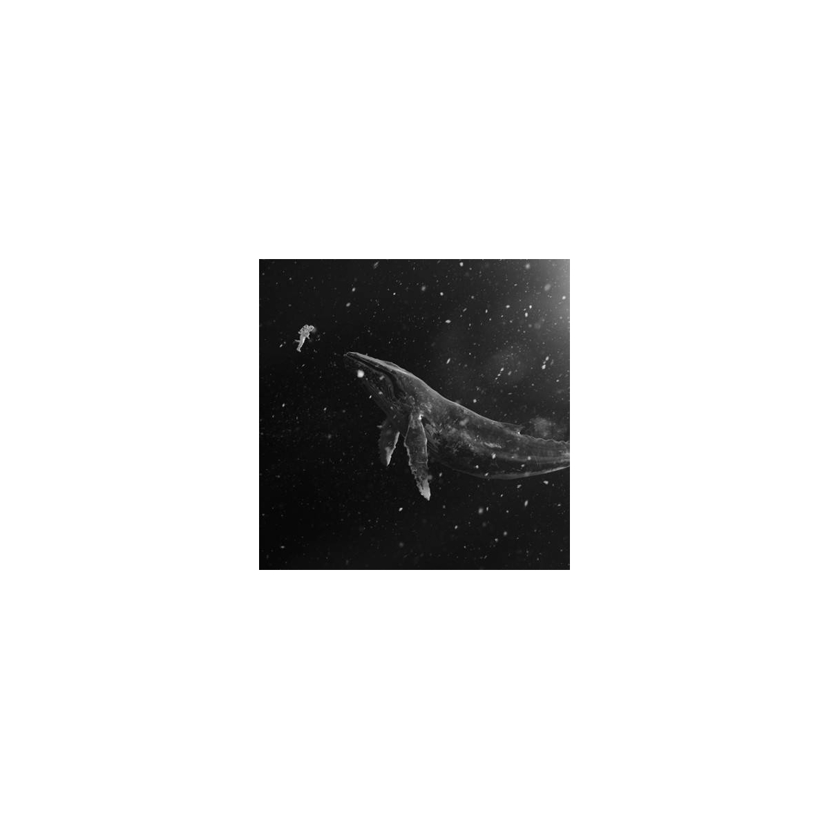 EXO - Winter Special Album Sing For You (Chinese Ver.) EXO - Winter Special Album Sing For You (Chinese Ver.)