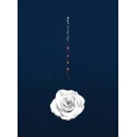 B.A.P - 6th Single Album Rose (B Ver.) - Catchopcd Hanteo Family Shop