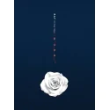 B.A.P - 6th Single Album Rose (B Ver.)