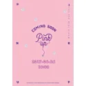 Apink - 6th Mini Album Pink Up (Ver. A)