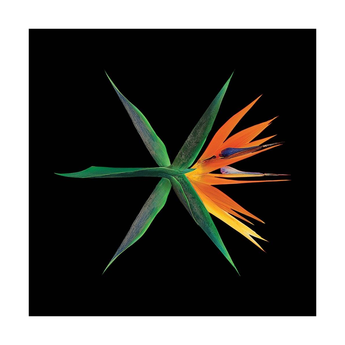 EXO - 4th Album The War (Chinese Ver.) EXO - 4th Album The War (Chinese Ver.)