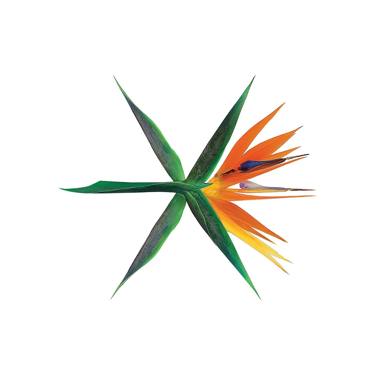 EXO - 4th Album The War (Korean Ver.)