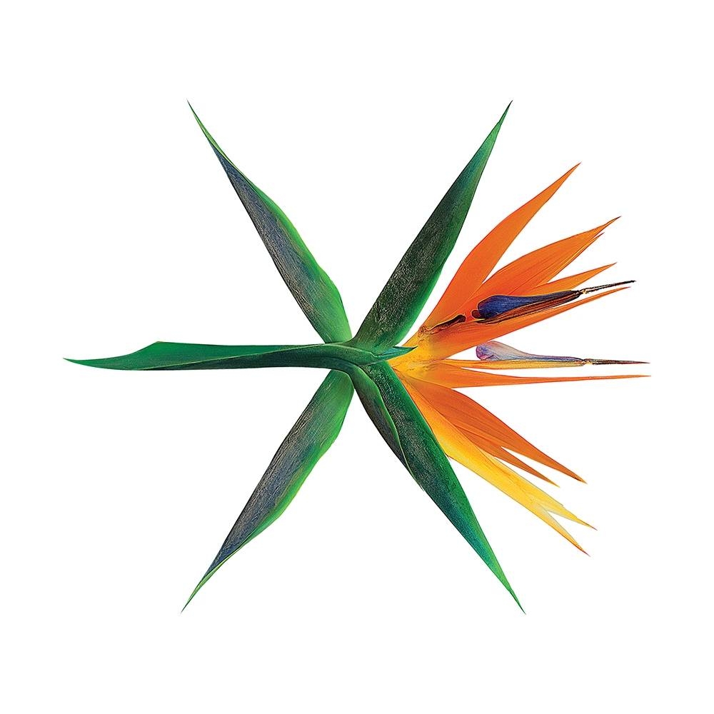 onderwijzen Gesprekelijk Verbazingwekkend EXO - 4th Album The War (Korean Ver.) - Catchopcd