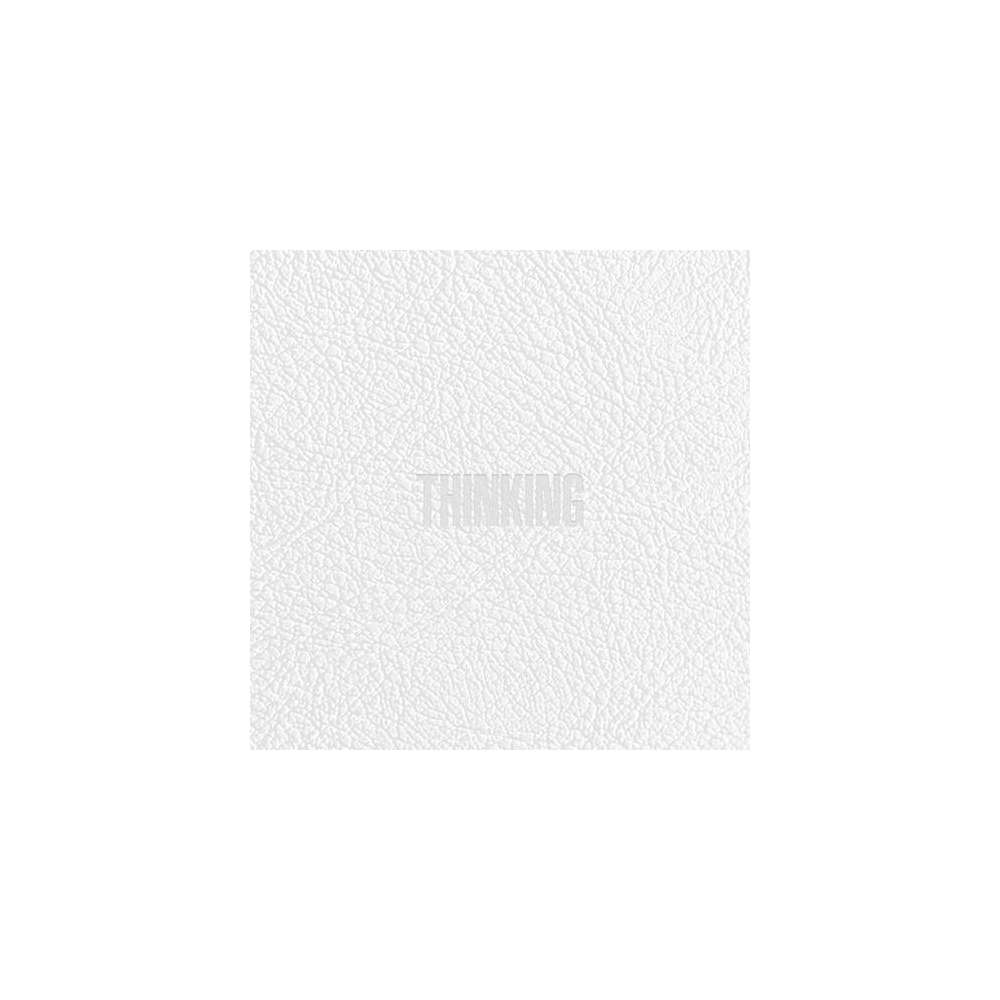 ZICO - 1st Album Thinking