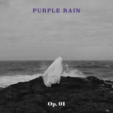 Purple Rain - 1st EP Op. 01