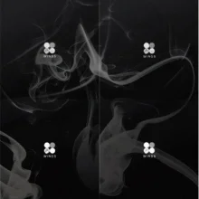 BTS - WINGS (2nd Album) - Catchopcd Hanteo Family Shop