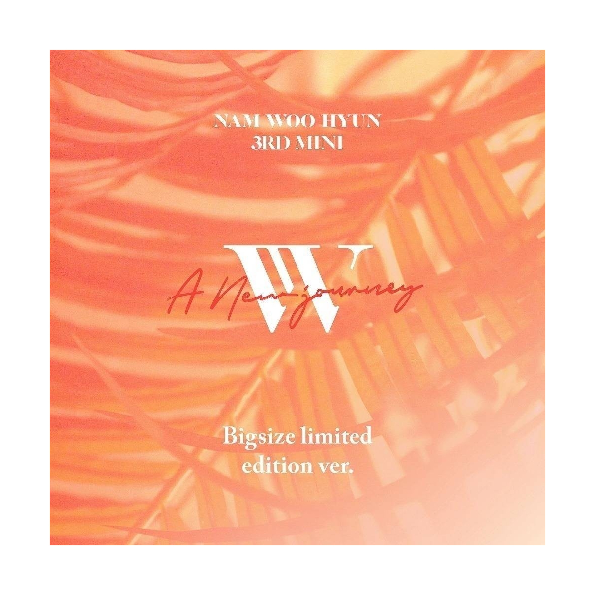 Nam Woo Hyun - 3rd Mini Album A New Journey (Big Size Limited Edition) Nam Woo Hyun - 3rd Mini Album A New Journey (Big Size Limited Edition)