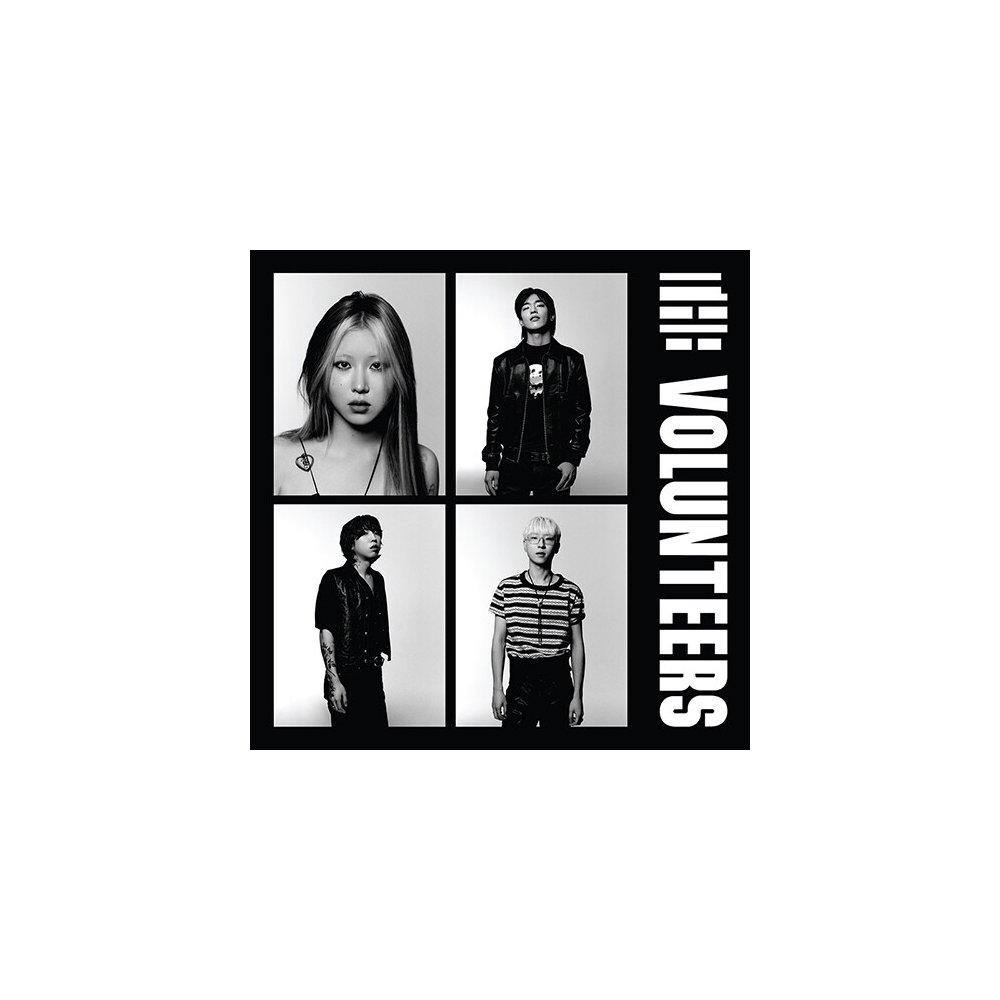 The Volunteers - The Volunteers