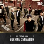 2493366_W2xEX_1024x2_1n SF9 - Burning Sensation (1st Mini Album)