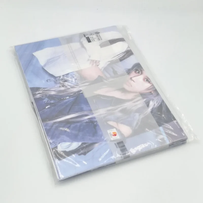 NMIXX - Fe3O4 FORWARD (Go Version) (4th Mini Album) back
