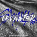 Stray Kids - Cle LEVANTER (5th Mini Album) (Normal Edition, Random version)