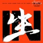 Stray Kids - IN LIFE (1st Album Repackage) (Standard Version)