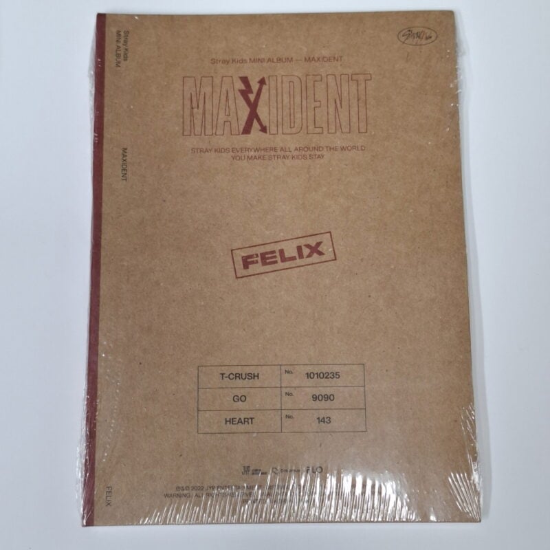 Stray Kids - MAXIDENT Mini Album (CASE version) 1