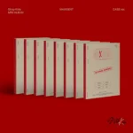 Stray Kids - MAXIDENT (Mini Album) (CASE version)