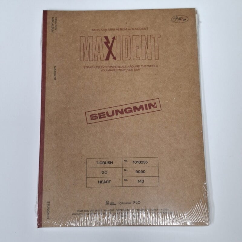 Stray Kids - MAXIDENT Mini Album (CASE version) 2