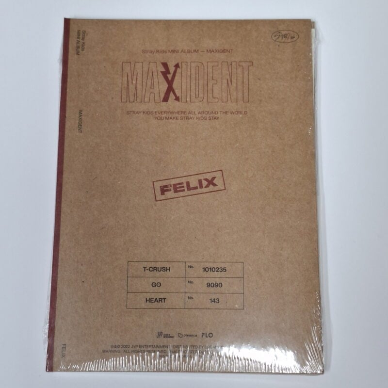 Stray Kids - MAXIDENT Mini Album (CASE version) 5