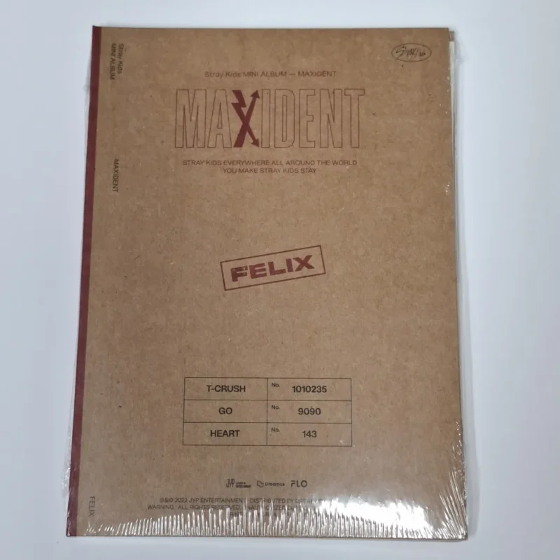 Stray-Kids-MAXIDENT-Mini-Album-CASE-version-5