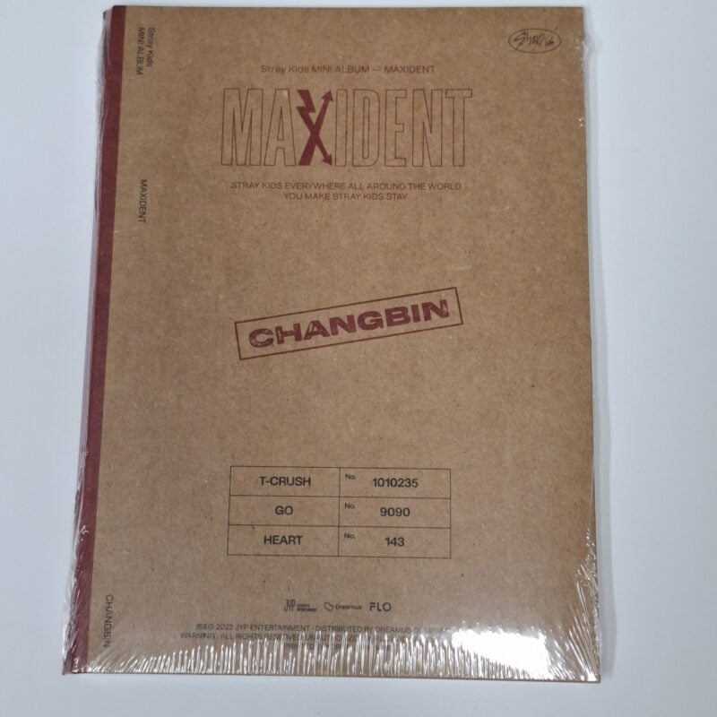 Stray Kids - MAXIDENT Mini Album (CASE version) 6