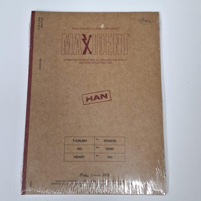 Stray Kids - MAXIDENT Mini Album (CASE version) 7