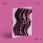 Stray Kids - MAXIDENT (Mini Album) (Limited Edition Go Version)