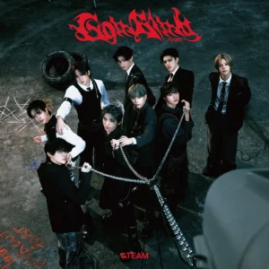 &TEAM - 3rd SINGLE Go in Blind (STANDARD EDITION)