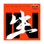 Stray Kids - IN LIFE (Standard A Version) (1st Album Repackage)