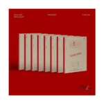 Stray Kids - MAXIDENT (CASE version)