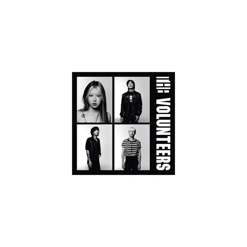 The Volunteers - The Volunteers