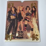 aespa - Dirty Work (Dirty Worker Version) front aespa - Dirty Work (Dirty Worker Version) front