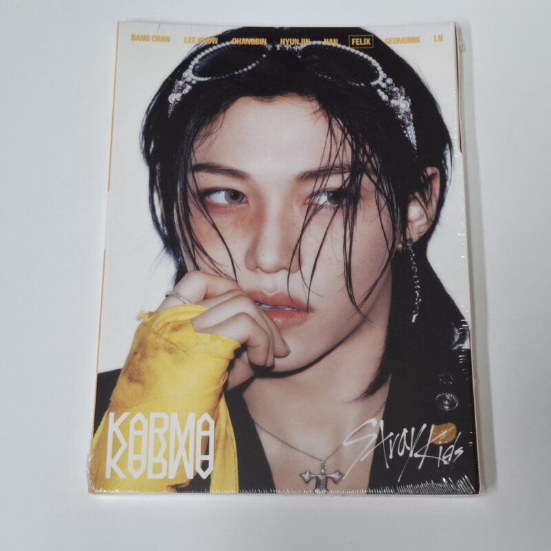 Stray Kids - 4th Album KARMA (ACCORDION VERSION) felix