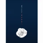 B.A.P - 6th Single Rose (Version B)
