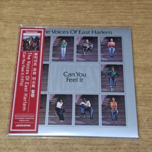 The Voices Of East Harlem - Can You Feel It Mini LP CD