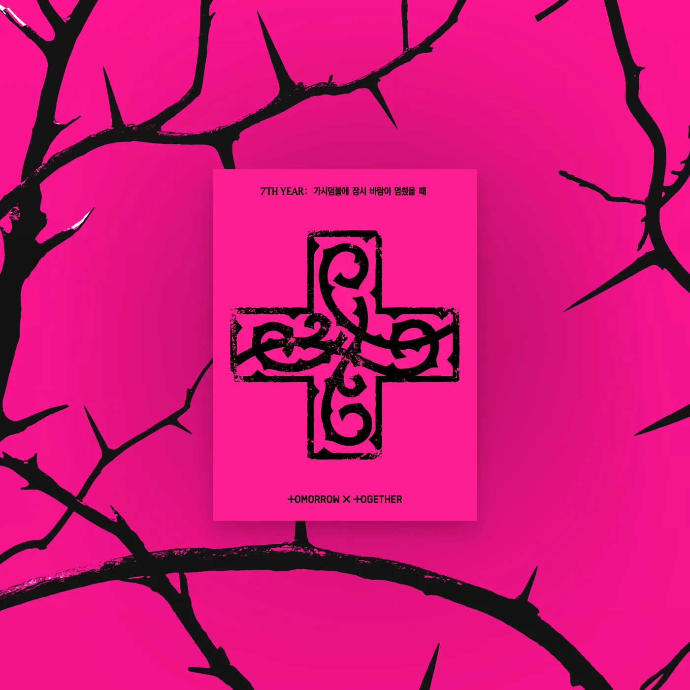 TXT – 7TH YEAR: A Moment of Stillness in the Thorns (Apple Music POB) (PPULBATU Ver.) (Weverse Albums ver.) 1 TXT – 7TH YEAR (PPULBATU Ver.)(Weverse Albums ver.)